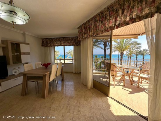 Apartamento en venta en Torrevieja (Alicante)