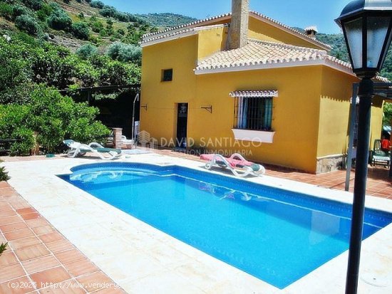  Villa en alquiler en Sayalonga (Málaga) 