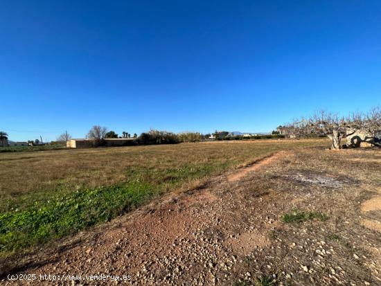 Terreno rural Lligallo - TARRAGONA