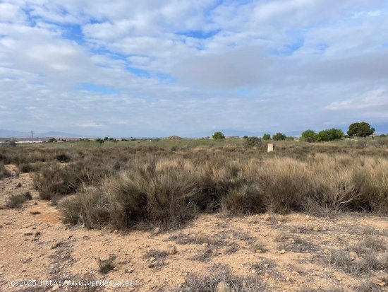 Solar en venta en Alhama de Murcia (Murcia)