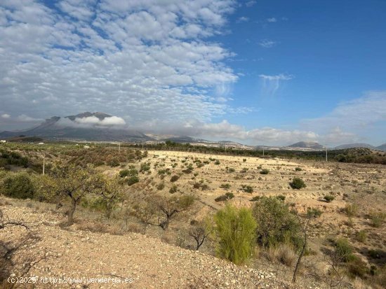 Parcela en venta en Vélez-Blanco (Almería)