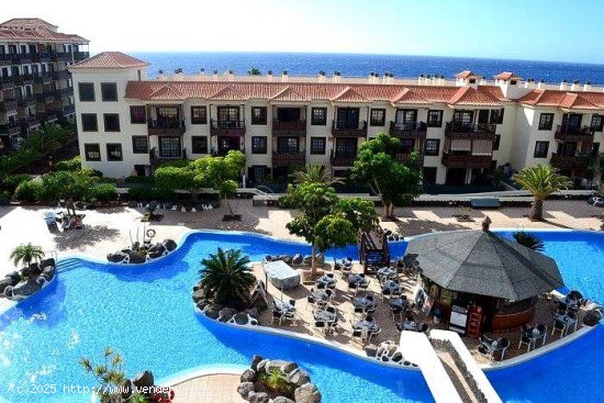  Apartamento en alquiler en Arona (Tenerife) 