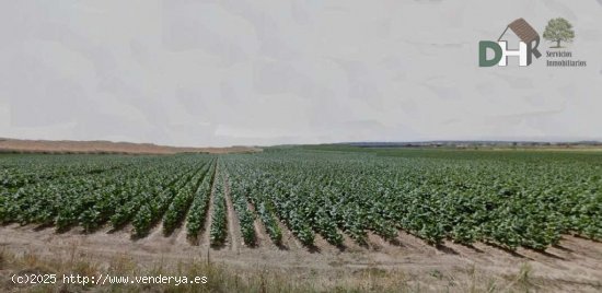 Solar en venta en Cáceres (Cáceres)