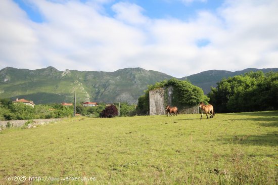 Parcela para invertir en Ribadesella (Asturias)