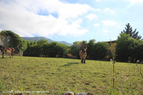 Parcela para invertir en Ribadesella (Asturias)