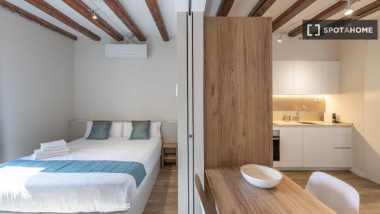 Apartamento de 1 dormitorio en alquiler en El Barri Gotic, Barcelona - BARCELONA