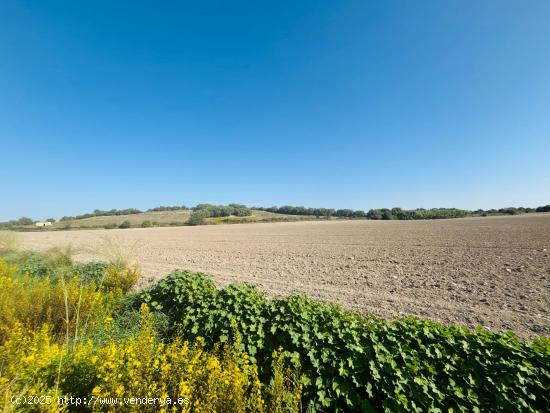  Se Vende en Ariany - BALEARES 