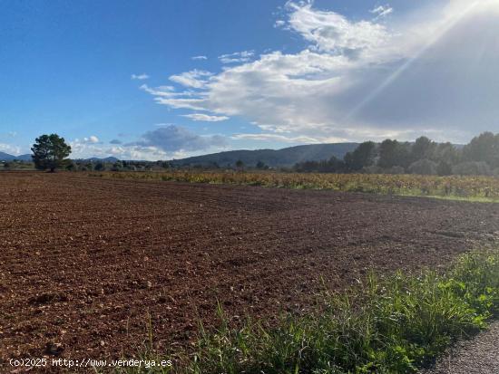 Oportunidad en Santa Eugenia Finca Rustica - BALEARES