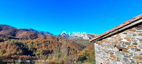 Proyecto en Parque Nacional de Redes. Asturias. - ASTURIAS