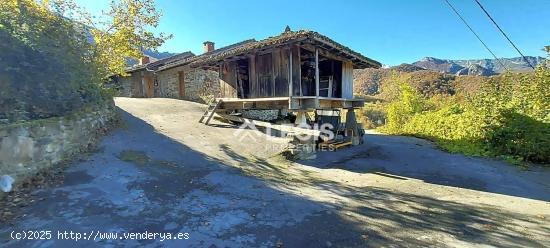 Proyecto en Parque Nacional de Redes. Asturias. - ASTURIAS