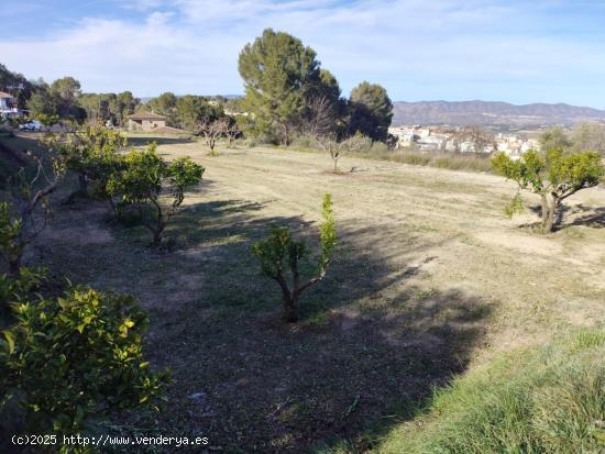  terreno urbano en agullent - VALENCIA 