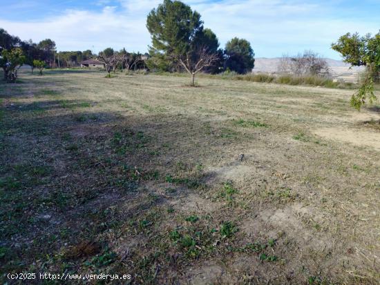 terreno urbano en agullent - VALENCIA