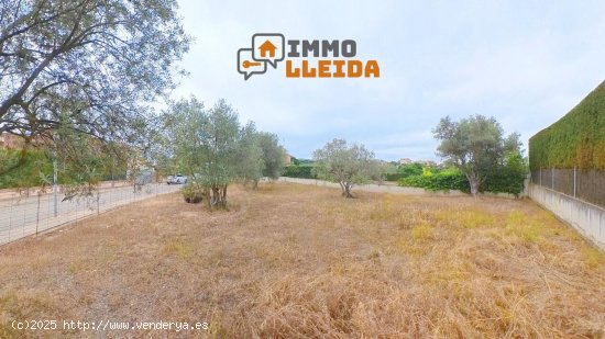 Suelo urbano en venta  en Cervera - Lleida