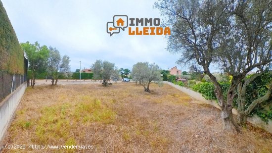 Suelo urbano en venta  en Cervera - Lleida