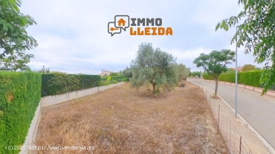 Suelo urbano en venta  en Cervera - Lleida