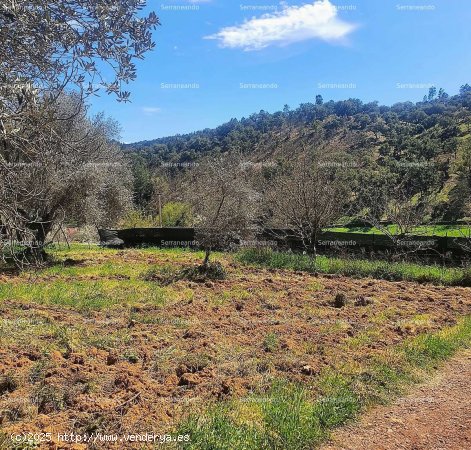 SE VENDE FINCA RÚSTICA EN VENTA EN VALDELARCO (HUELVA) ESPAÑA. - Valdelarco