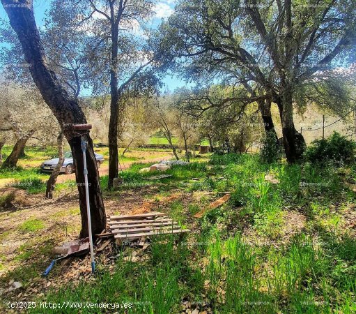 SE VENDE FINCA RÚSTICA EN VENTA EN VALDELARCO (HUELVA) ESPAÑA. - Valdelarco