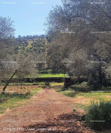 SE VENDE FINCA RÚSTICA EN VENTA EN VALDELARCO (HUELVA) ESPAÑA. - Valdelarco