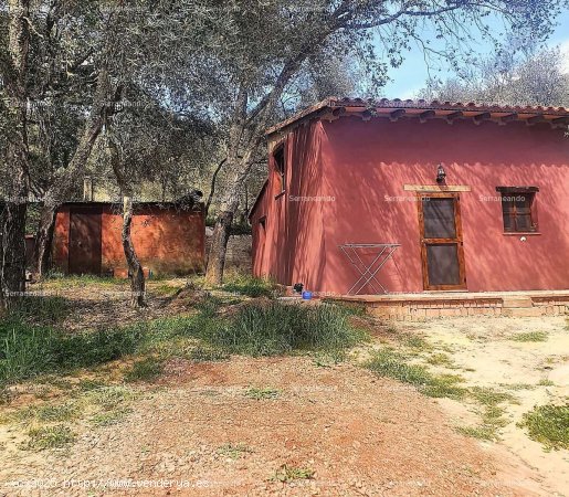 SE VENDE FINCA RÚSTICA EN VENTA EN VALDELARCO (HUELVA) ESPAÑA. - Valdelarco