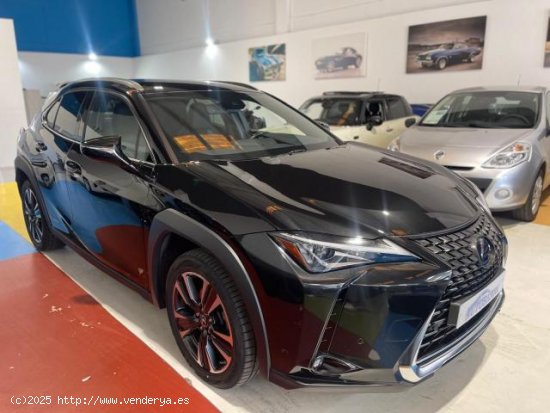  LEXUS UX en venta en AlcalÃ¡ de GuadaÃ­ra (Sevilla) - AlcalÃ¡ de GuadaÃ­ra 