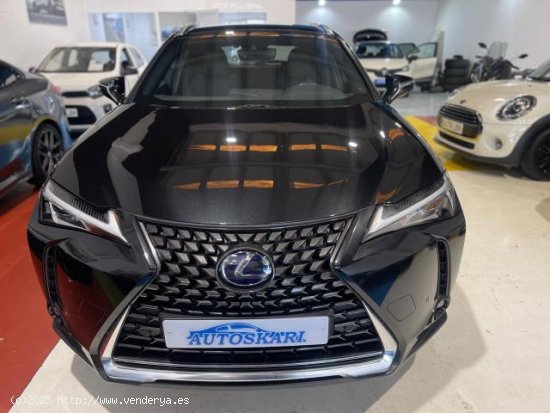 LEXUS UX en venta en AlcalÃ¡ de GuadaÃ­ra (Sevilla) - AlcalÃ¡ de GuadaÃ­ra