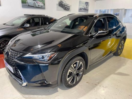 LEXUS UX en venta en AlcalÃ¡ de GuadaÃ­ra (Sevilla) - AlcalÃ¡ de GuadaÃ­ra