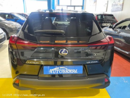 LEXUS UX en venta en AlcalÃ¡ de GuadaÃ­ra (Sevilla) - AlcalÃ¡ de GuadaÃ­ra