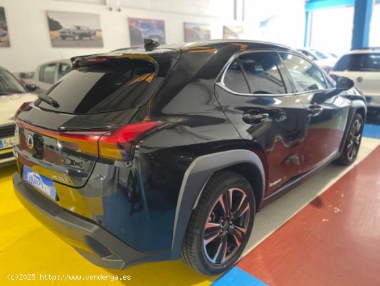 LEXUS UX en venta en AlcalÃ¡ de GuadaÃ­ra (Sevilla) - AlcalÃ¡ de GuadaÃ­ra