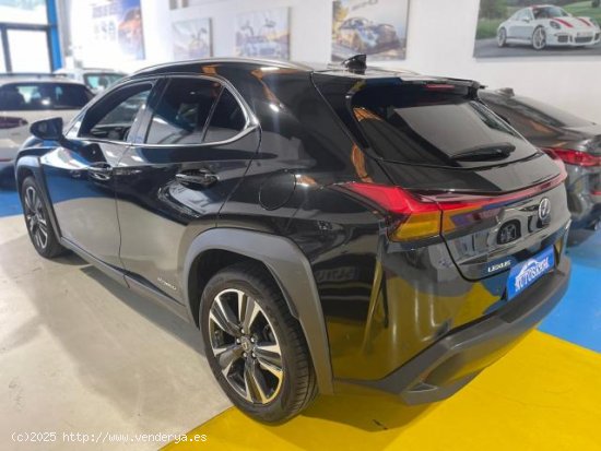 LEXUS UX en venta en AlcalÃ¡ de GuadaÃ­ra (Sevilla) - AlcalÃ¡ de GuadaÃ­ra