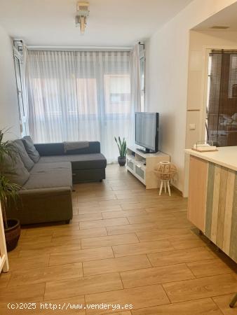  MALVARROSA, 2 HAB Y 2 BAÑOS CON TERRAZA - VALENCIA 