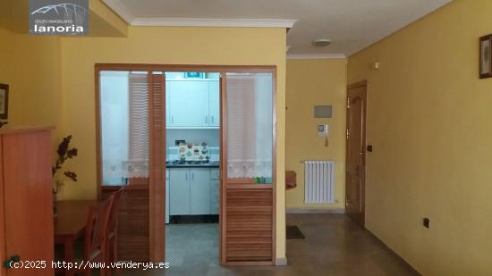 Grupo la Noria VENDE Apartamento de 1 dormitorio en Zona Centro. - ALBACETE