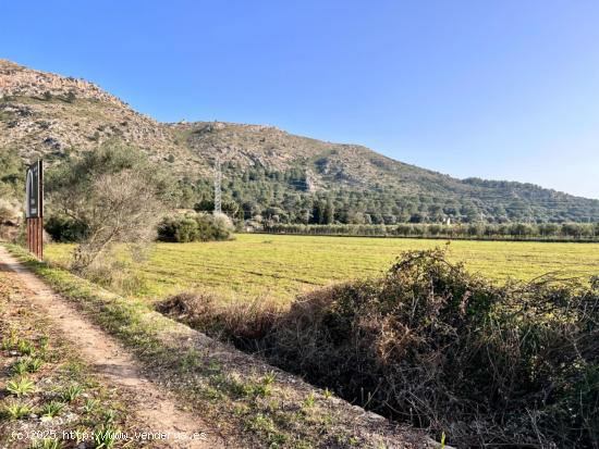 Finca rústica en Alcudia - BALEARES