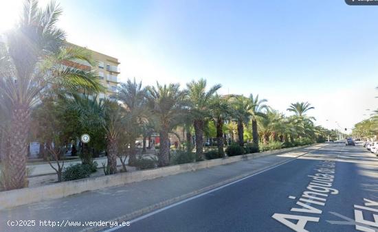  Alquiler de local comercial en zona universidad - ALICANTE 