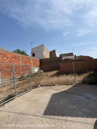 VENTA DE SOLAR URBANO EN BARRAX - ALBACETE