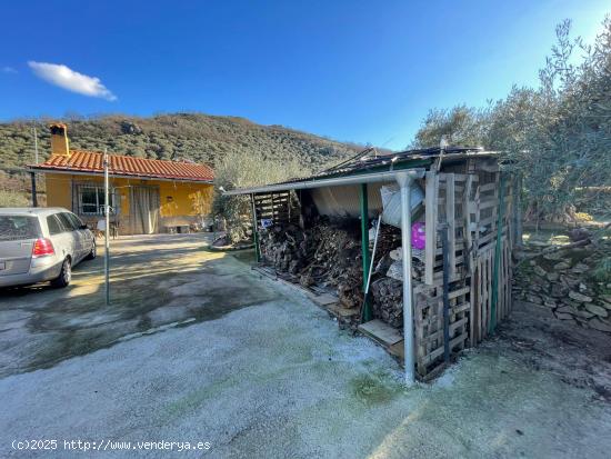 CASA DE CAMPO EN MONTÁNCHEZ - CACERES