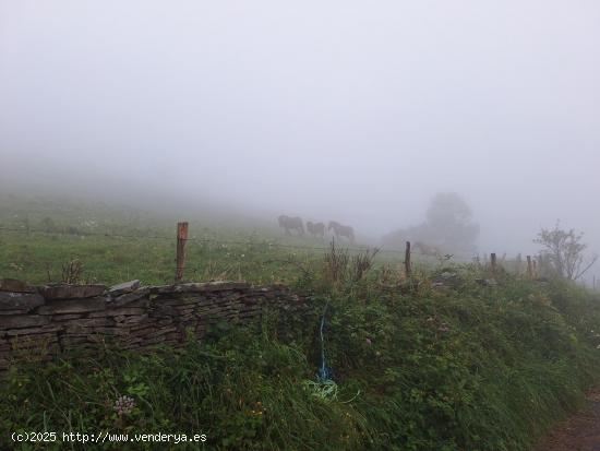  Terreno rústico en venta en Regolfo, Solorzano. - CANTABRIA 