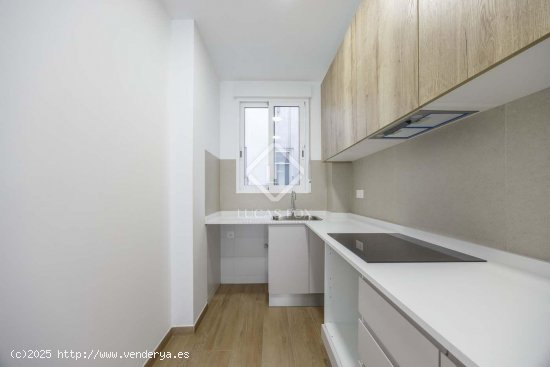 Apartamento en alquiler en Valencia (Valencia)