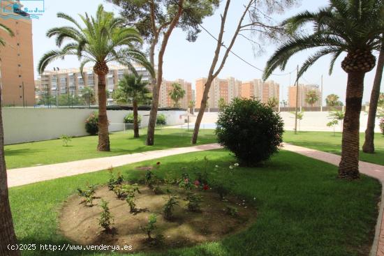 Piso con increíbles vistas sobre la playa de San Juan - ALICANTE