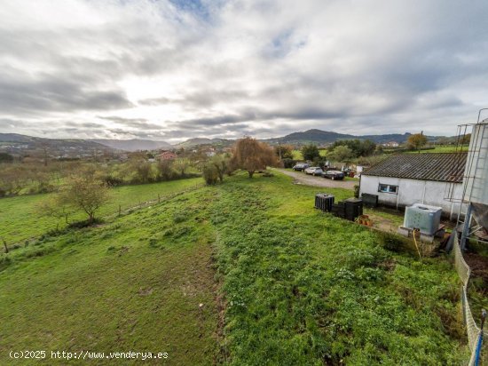 Nave en alquiler en Ribadesella (Asturias)