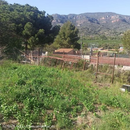 Finca en venta en Alforja (Tarragona)