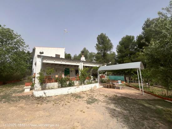 CHALET CON PISCINA Y POZO. TODO VALLADO. ZONA  LAS NORIAS  ASFALTADO - ALBACETE