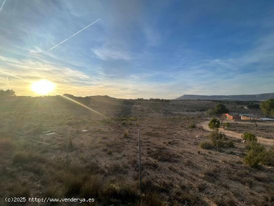  TERRENO EN LAS FUENTECICAS - ALBACETE 