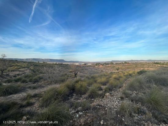 TERRENO EN LAS FUENTECICAS - ALBACETE