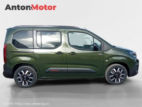 Citroën Berlingo Talla M BlueHDi 130 S&S MAX - Álava