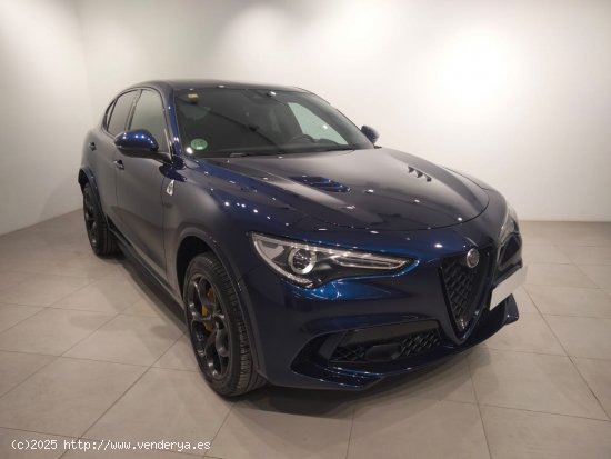 Alfa Romeo Stelvio 2.9 Gasolina 375kW (510CV) Quadrifogl Q4 - Álava