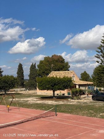 Finca en venta en Algorfa (Alicante)