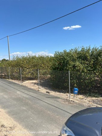 Solar en venta en Los Montesinos (Alicante)