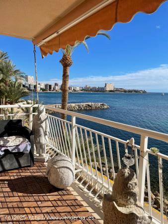  Precioso piso en primera línea de Playa de la Albufereta. - ALICANTE 