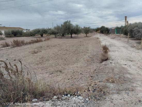 Terreno Urbanizable - La Hoya - MURCIA