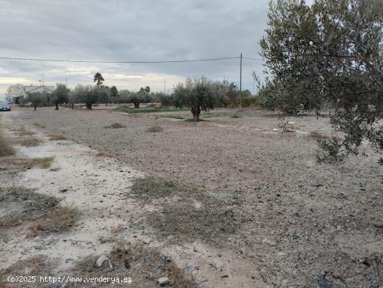 Terreno Urbanizable - La Hoya - MURCIA